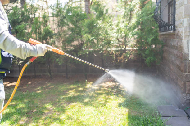 Best Best Pest Control Companies  in Meadview, AZ
